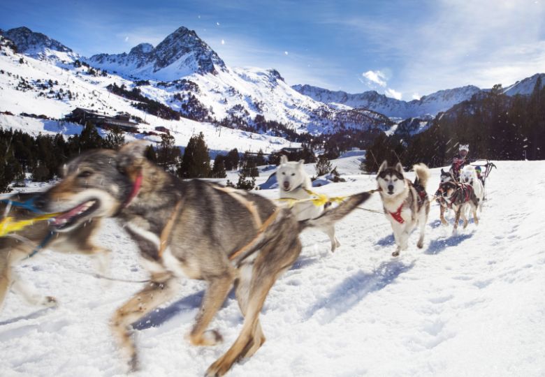 Balade chien de traineau en Andorre de 2, 3 ou 5 km (Diurne)